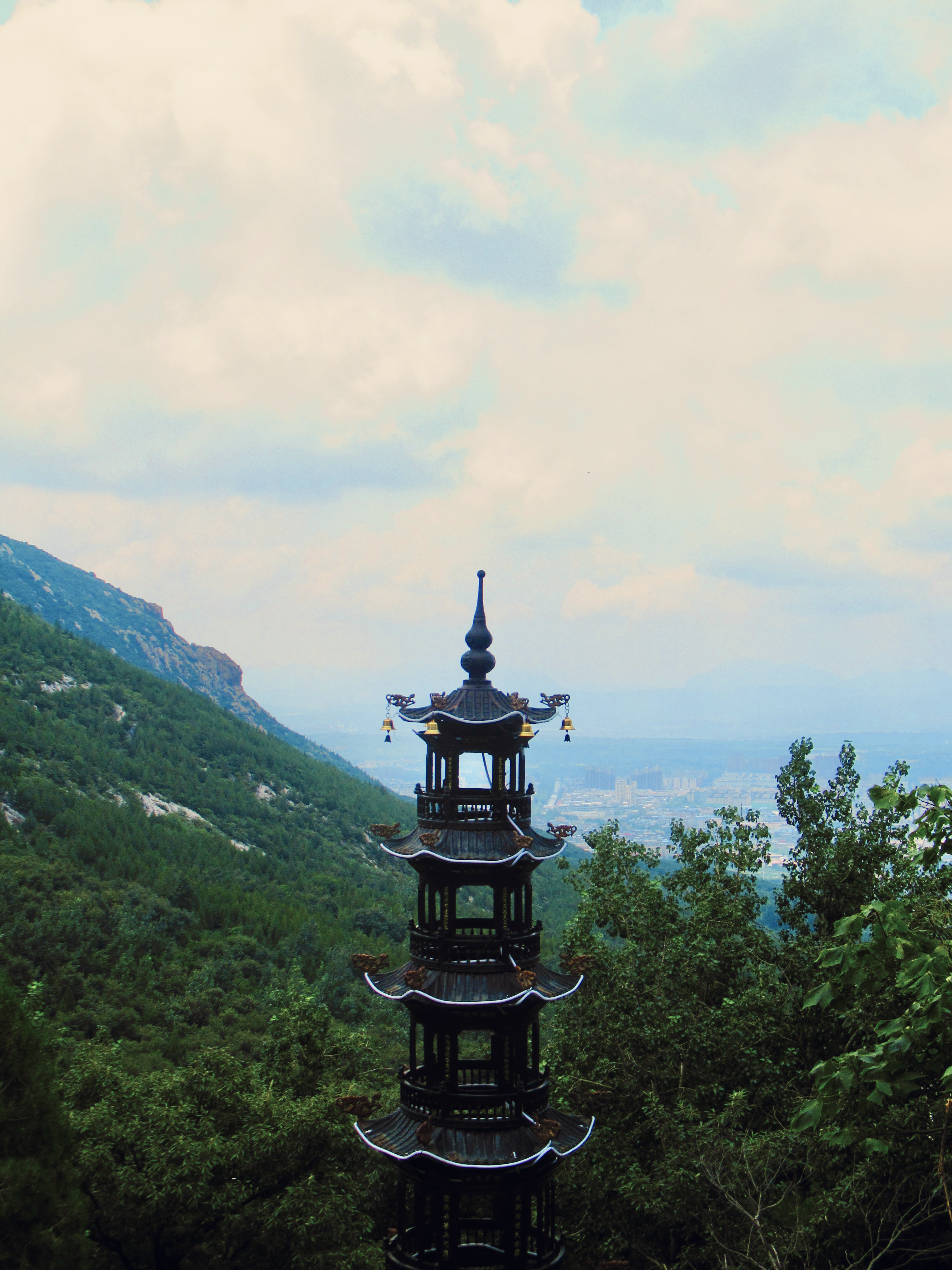 A scenic hiking trail on a mountain.